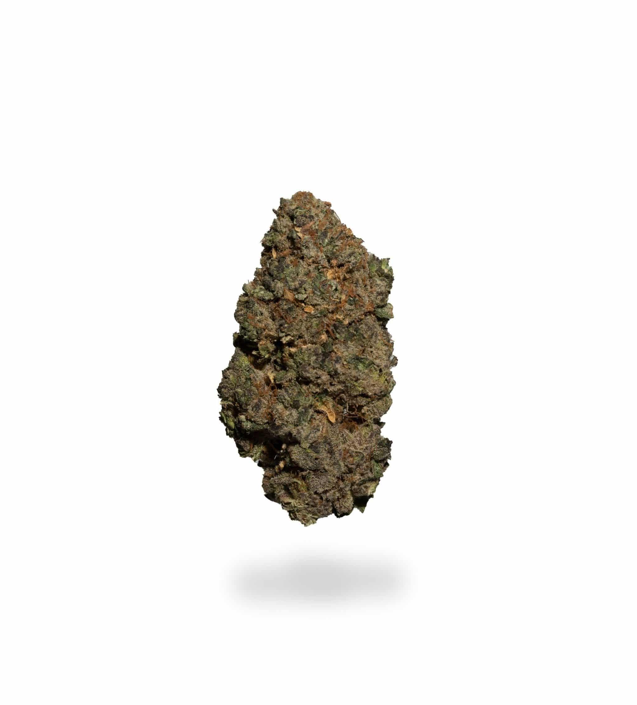 Ice Dream (AAA+)