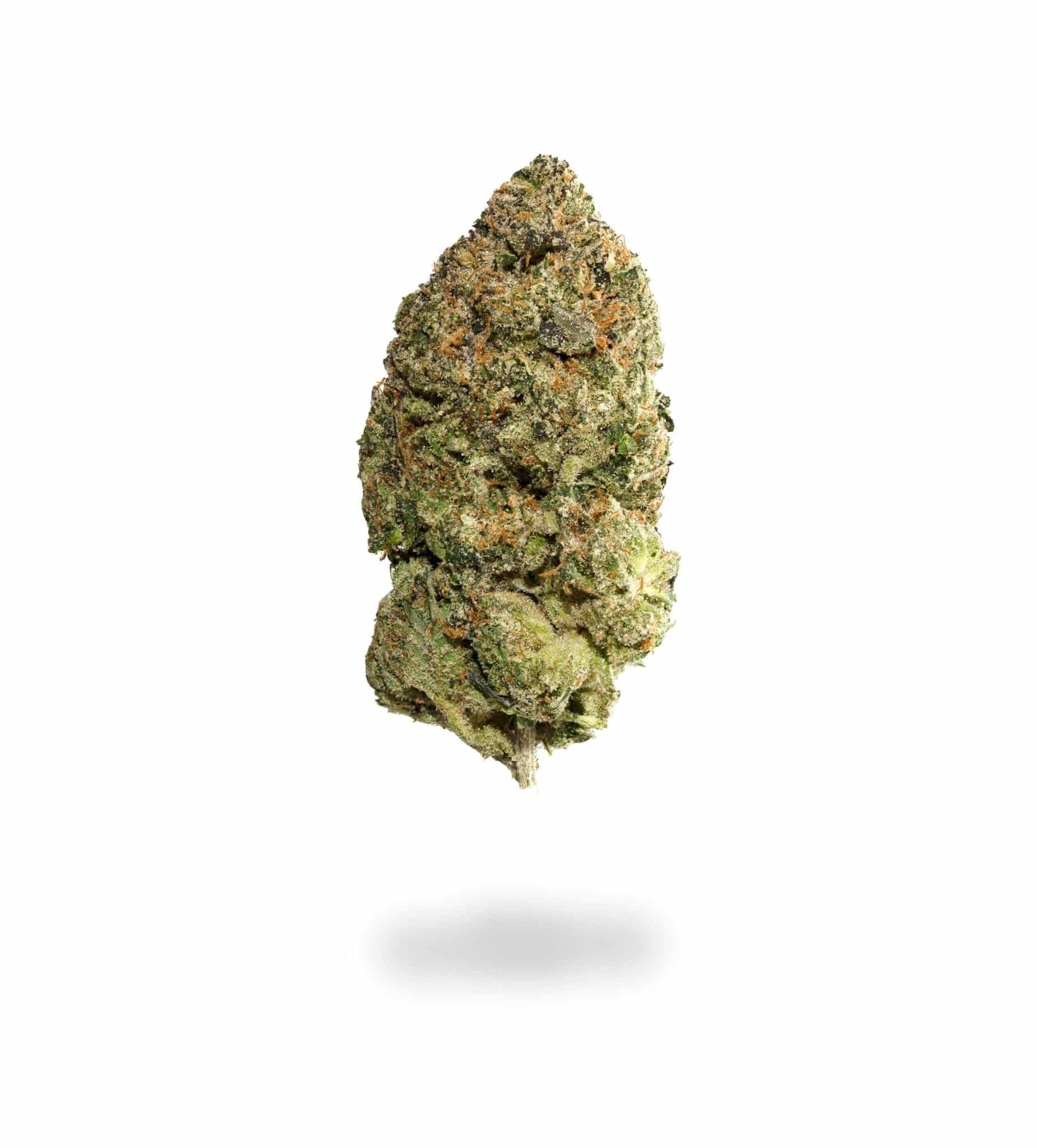 Bubba's Gift (AAAA+)