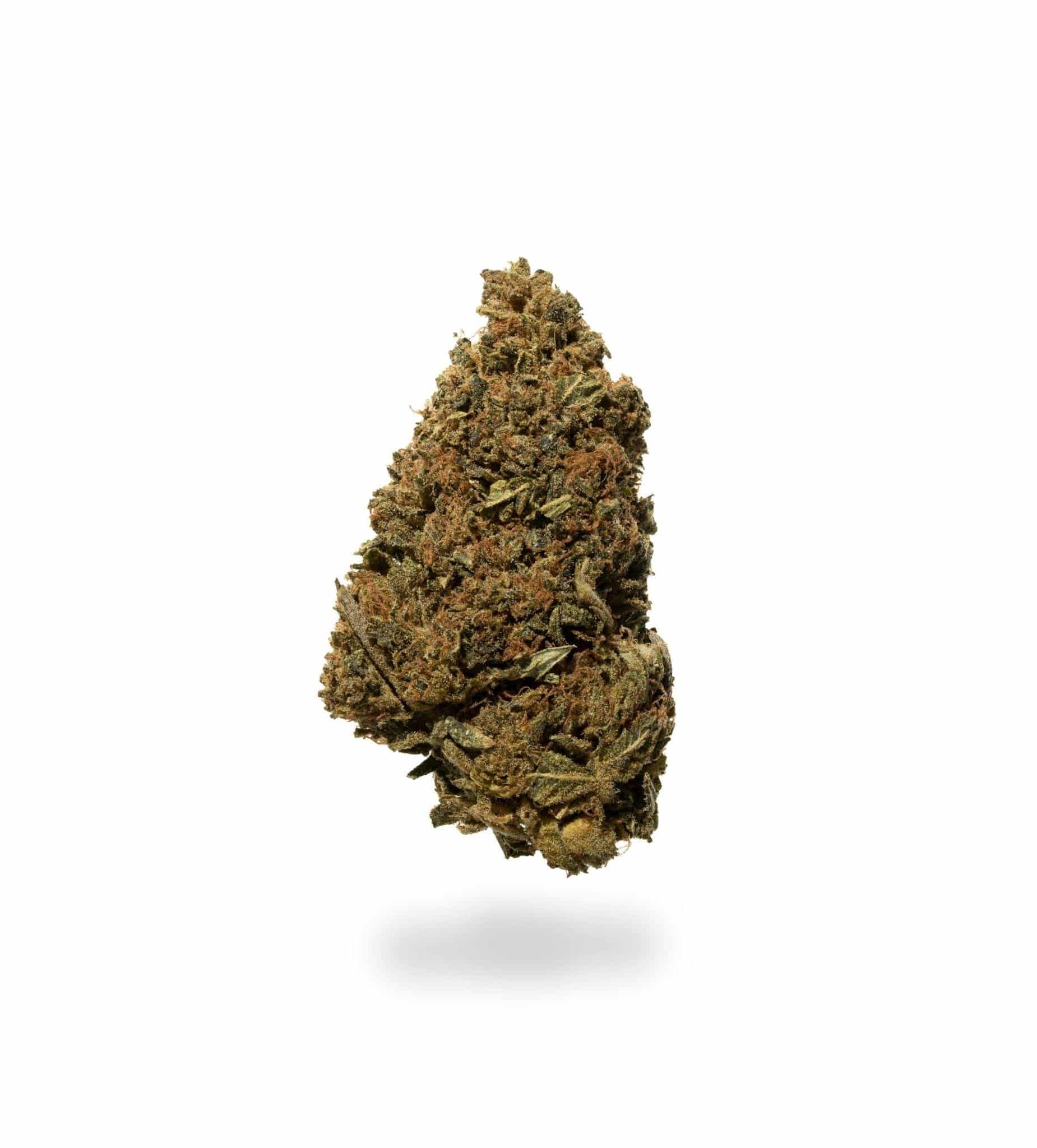 Blond Skywalker (AAAA)
