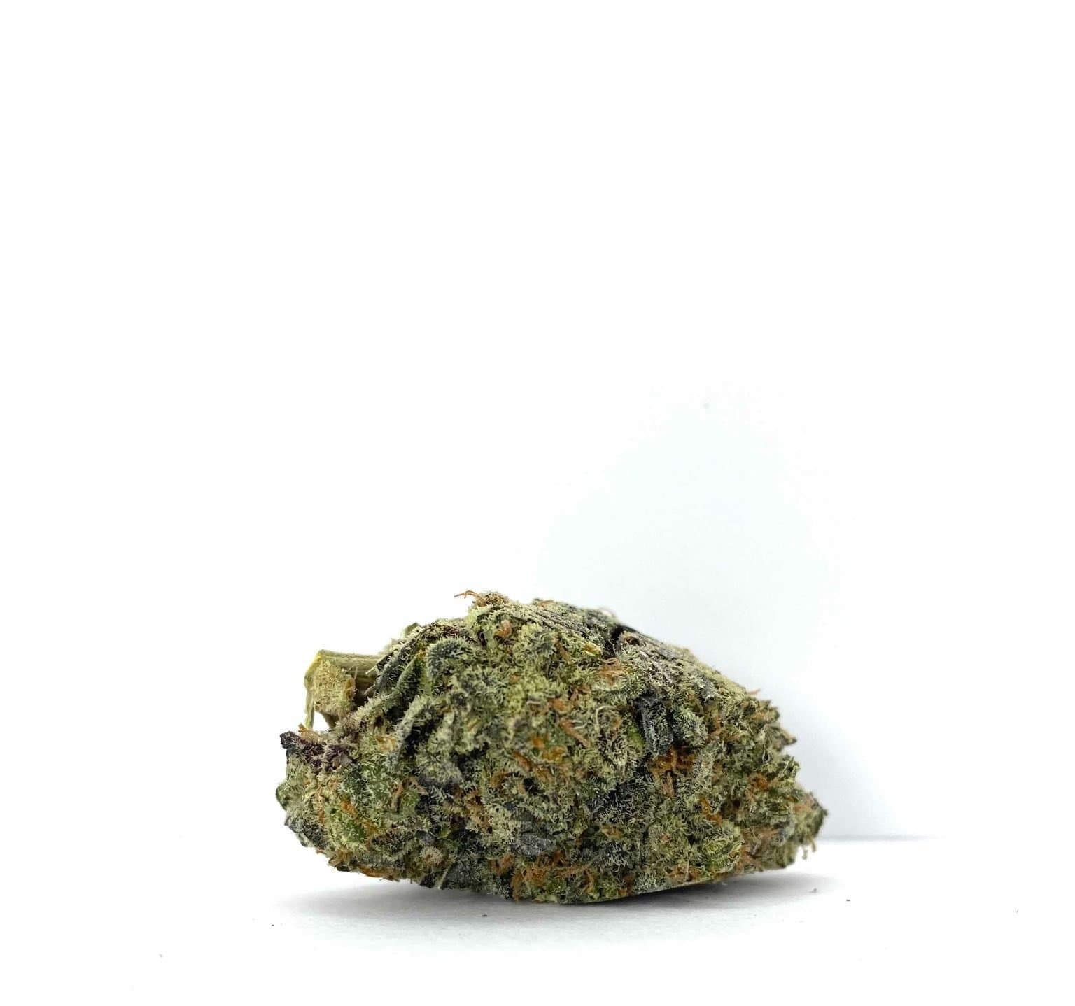 Lady Zaza (AAAA)
