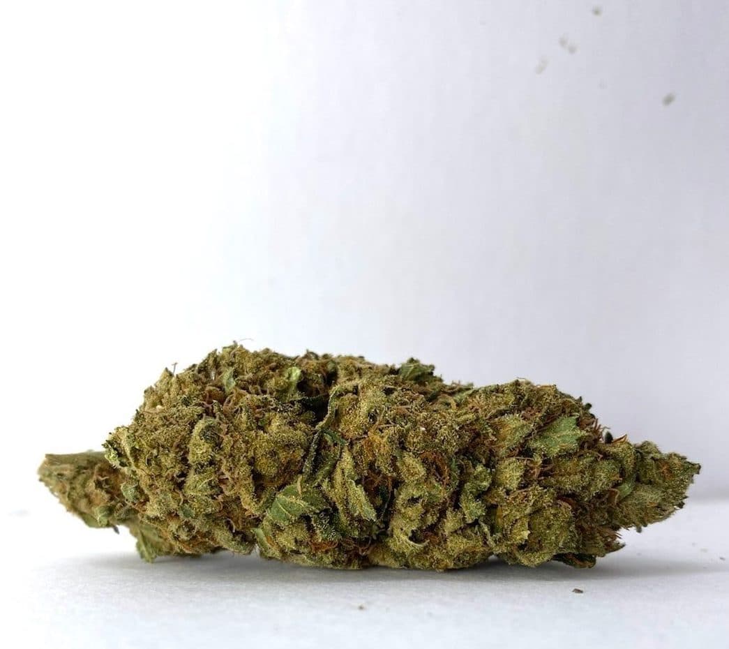 Godzilla (AA)