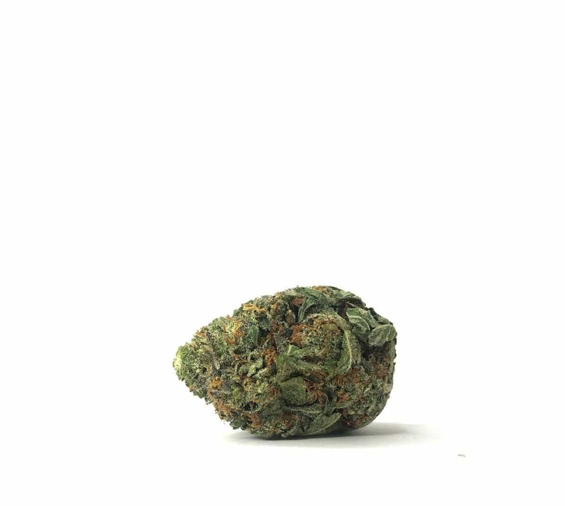 Pink40 (AAAA)